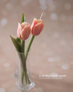 CLAB Wax Flower