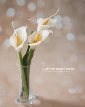 Load image into Gallery viewer, CLAB Wax Flower
