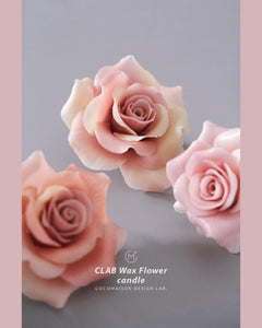 CLAB Wax Flower