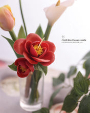 Load image into Gallery viewer, CLAB Wax Flower
