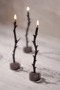 Hás Branch Candles