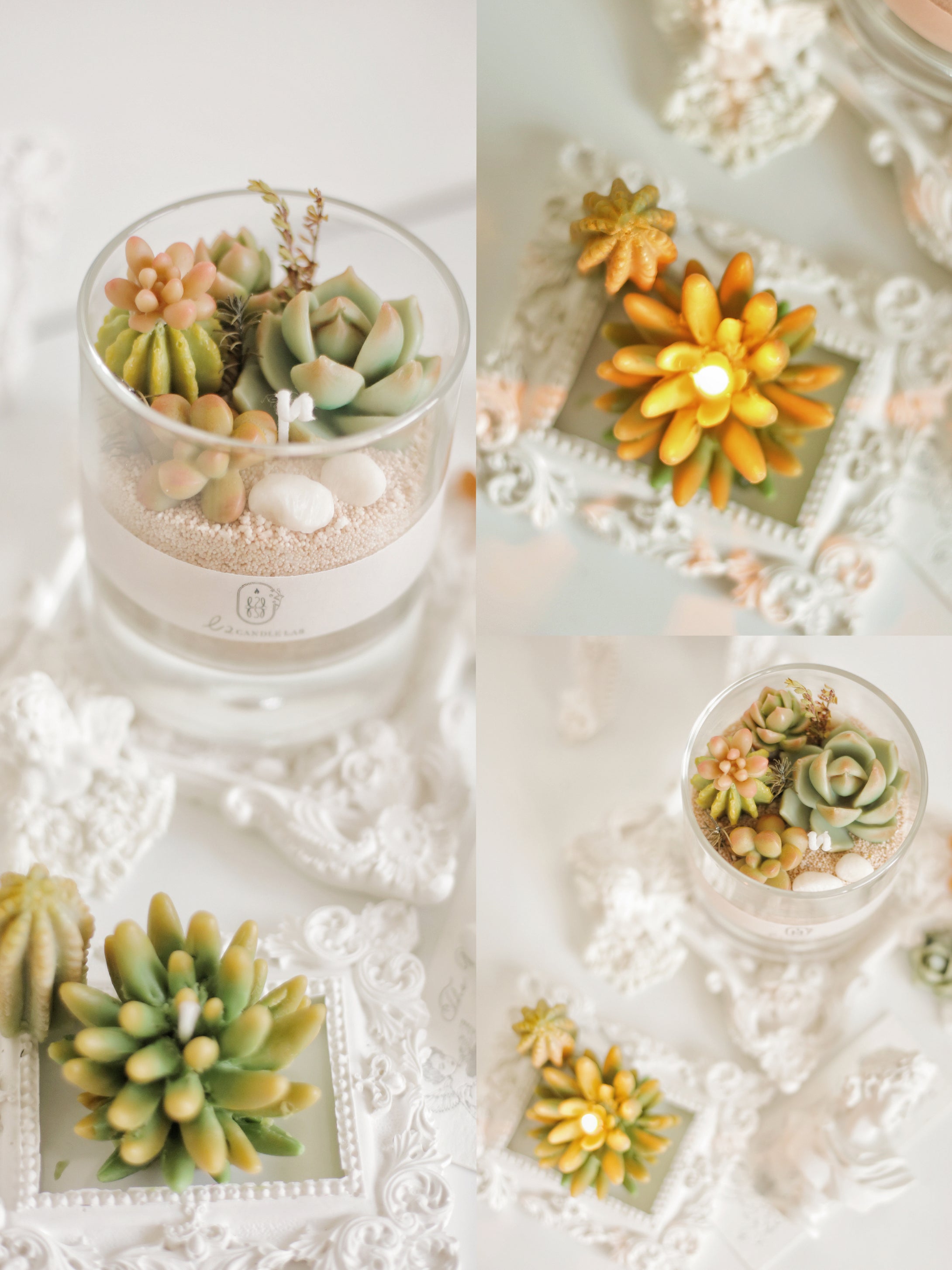 Succulents Candle Workshops