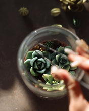 Load image into Gallery viewer, Succulents Candle Workshops
